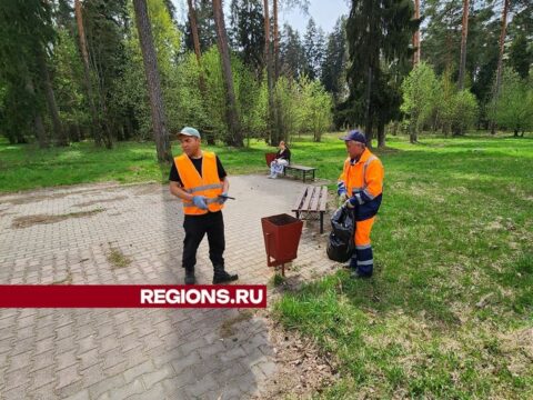 Излюбленные жителями Красноармейска зоны отдыха приведут в порядок к майским праздникам Новости Пушкино 