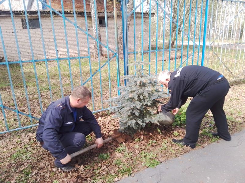 Спасатели Пушкинского округа высадили саженцы деревьев на территориях своих частей Новости Пушкино 