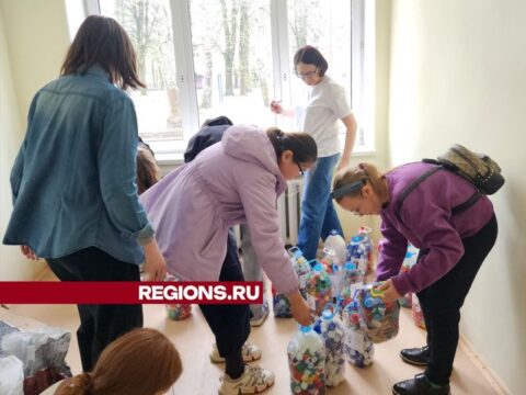 Свыше 110 килограммов вторсырья собрали школьники в Красноармейске на экологической акции Новости Пушкино 