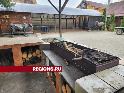 Жители микрорайона в Пушкино организовали для себя зону отдыха с мангалом и печью Новости Пушкино 