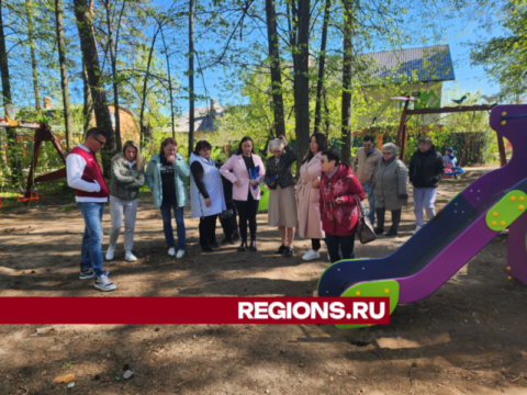 Детская площадка в лесном массиве Красноармейска получит экологичное покрытие Новости Пушкино 