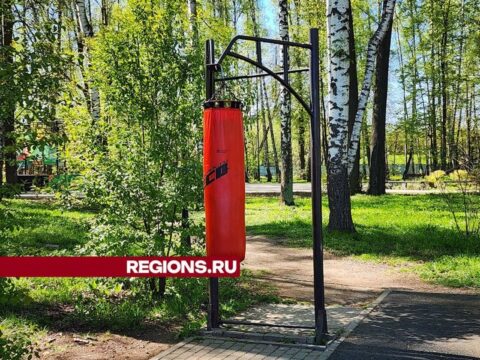 Новый спортивный инвентарь завезли в парк «Березовая роща» в Пушкино Новости Пушкино 