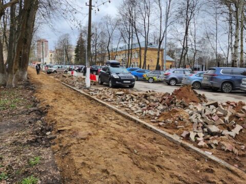 Утраченные из-за расширения дороги в Пушкино деревья компенсируют новыми Новости Пушкино 