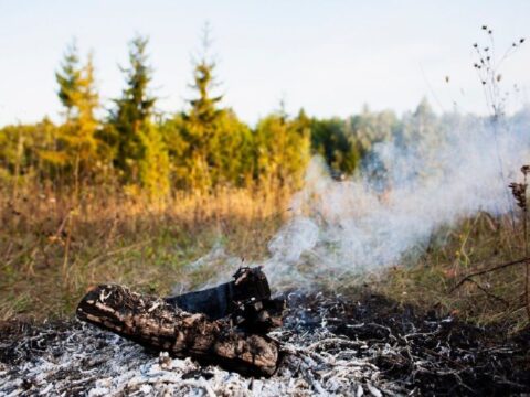 В лес без последствий: публикуем правила пожарной безопасности на природе Новости Пушкино 